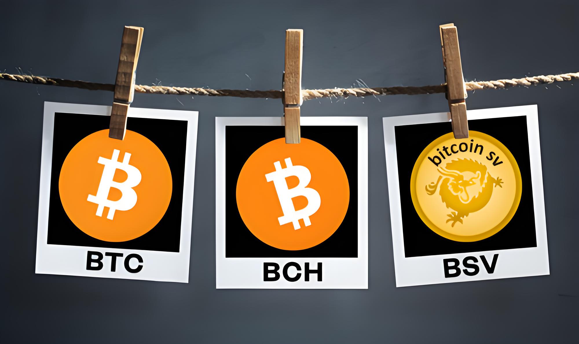 o易app官网核心功能解析：声音社交、匹配机制如何连接用户？